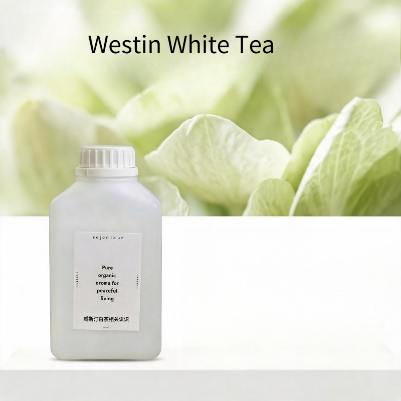 500ml Olejek Eteryczny do Arom – Home Fragrance Refill recenzja i cena