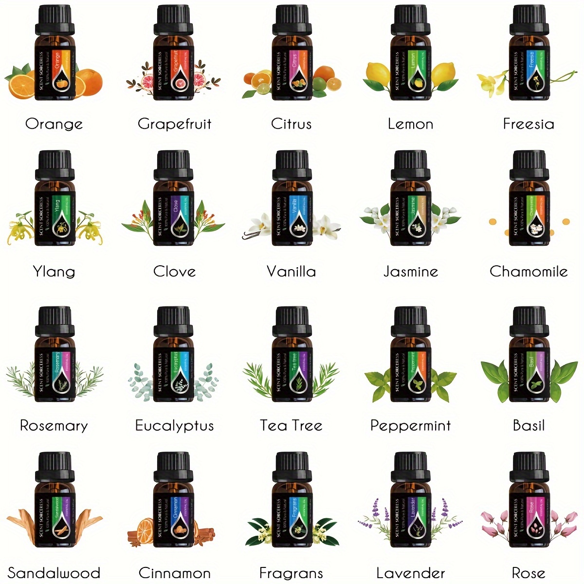 20 sztuk/zestaw Klasyczny Zest – Essential Oil Blend recenzja i cena